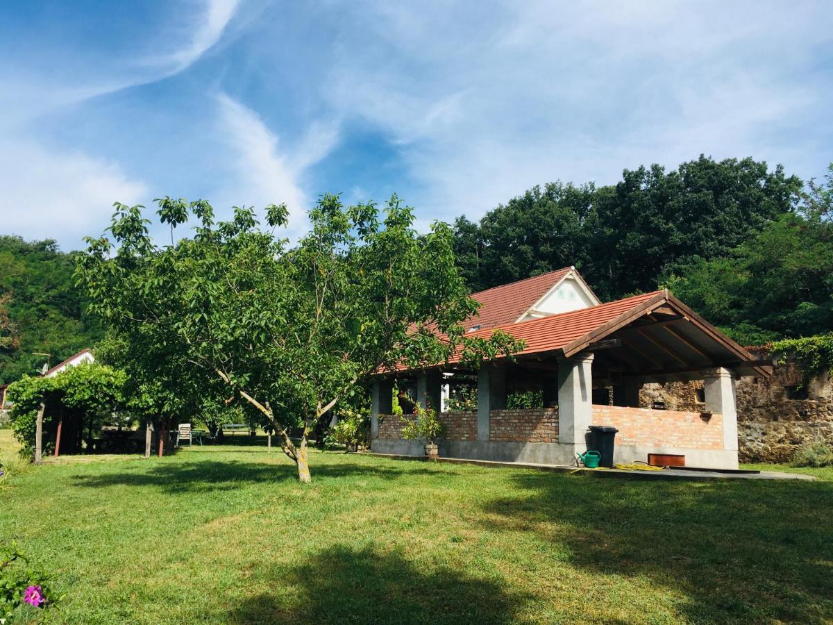 Aligvár Vendégház Salfold Exterior foto